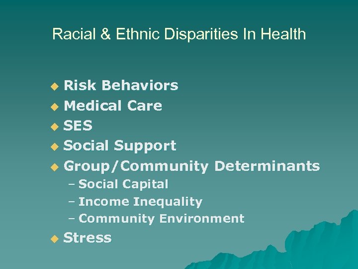 Racial & Ethnic Disparities In Health Risk Behaviors u Medical Care u SES u