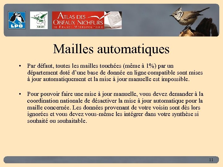 Click to edit Master title style Mailles automatiques • Par défaut, toutes les mailles