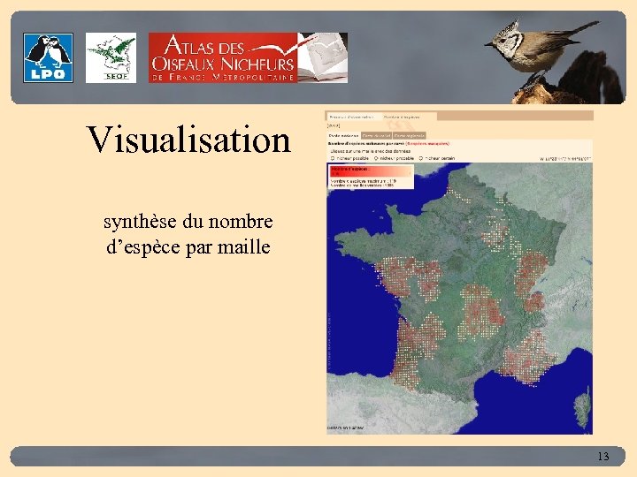 Click to edit Master title style Visualisation synthèse du nombre d’espèce par maille 13