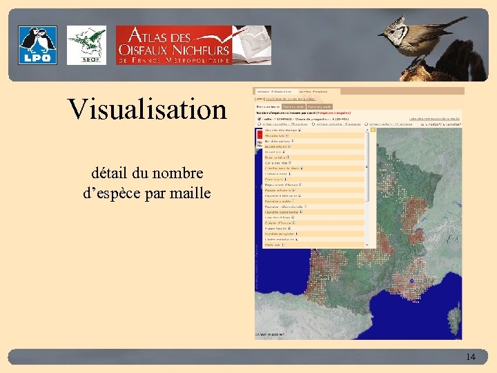 Click to edit Master title style Visualisation détail du nombre d’espèce par maille 14