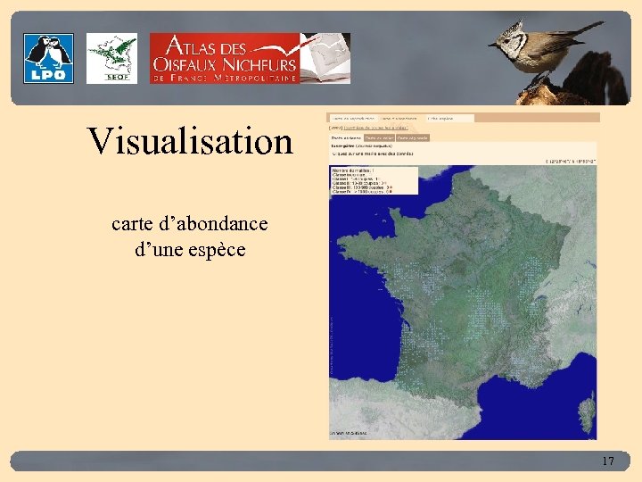 Click to edit Master title style Visualisation carte d’abondance d’une espèce 17 