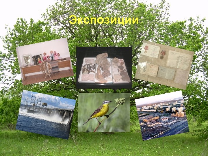 Экспозиции 