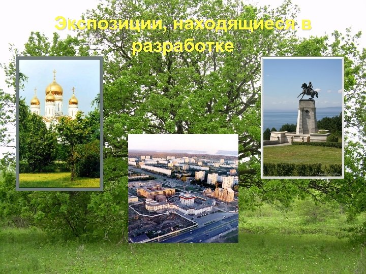 Экспозиции, находящиеся в разработке 