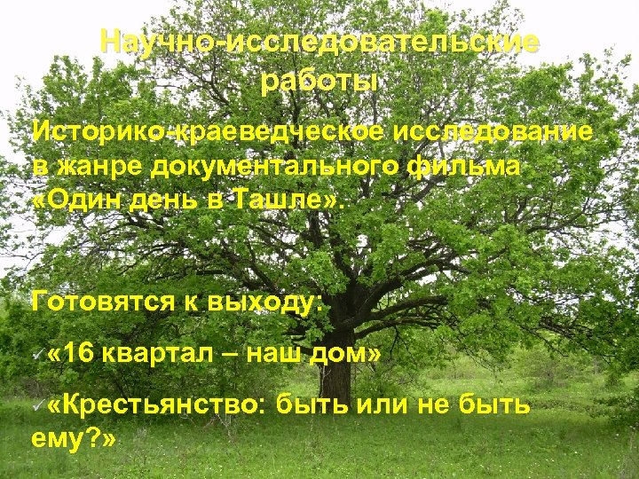 Научно-исследовательские работы Историко-краеведческое исследование в жанре документального фильма «Один день в Ташле» . Готовятся