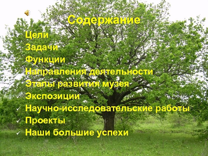 Содержание ü ü ü ü ü Цели Задачи Функции Направления деятельности Этапы развития музея