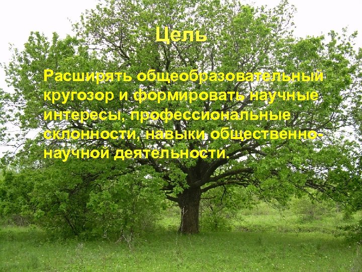 Цель ü Расширять общеобразовательный кругозор и формировать научные интересы, профессиональные склонности, навыки общественнонаучной деятельности.