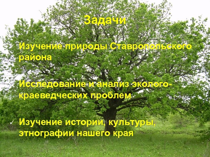 Задачи ü Изучение природы Ставропольского района ü Исследование и анализ экологокраеведческих проблем ü Изучение