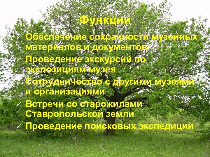 Функции ü ü ü Обеспечение сохранности музейных материалов и документов Проведение экскурсий по экспозициям