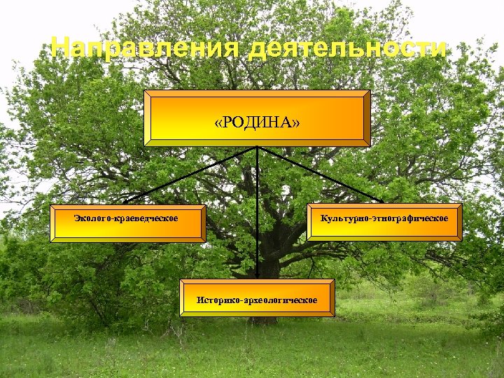 Направления деятельности «РОДИНА» Эколого-краеведческое Культурно-этнографическое Историко-археологическое 