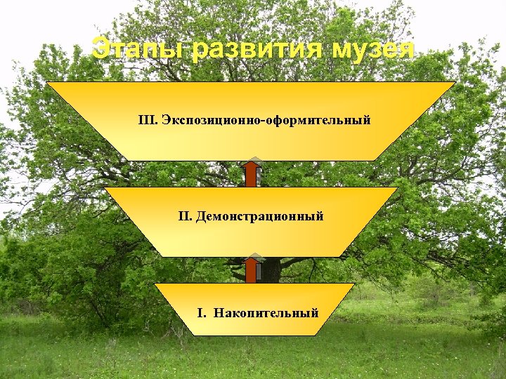 Этапы развития музея III. Экспозиционно-оформительный II. Демонстрационный I. Накопительный 