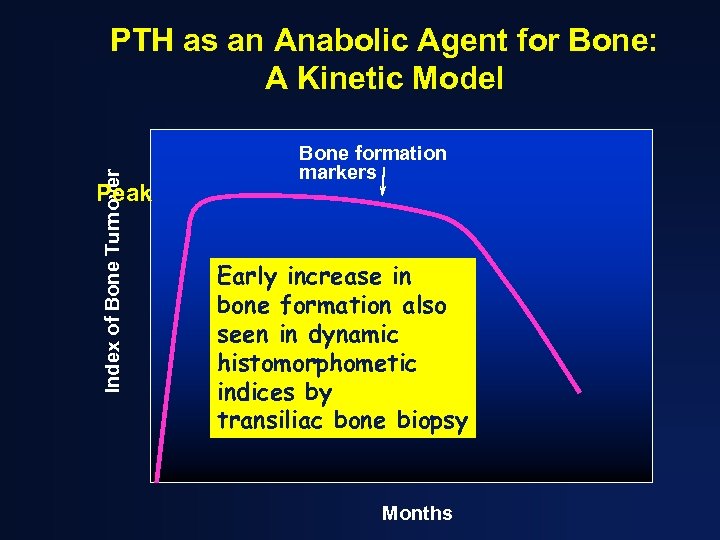 Index of Bone Turnover PTH as an Anabolic Agent for Bone: A Kinetic Model