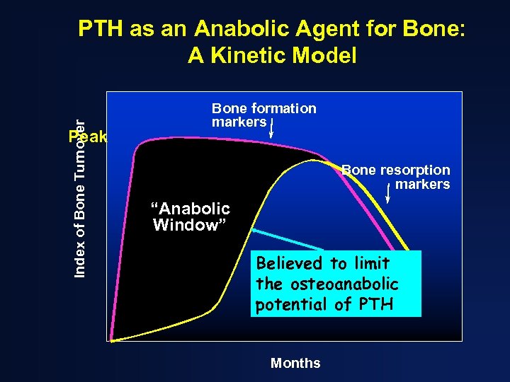 Index of Bone Turnover PTH as an Anabolic Agent for Bone: A Kinetic Model