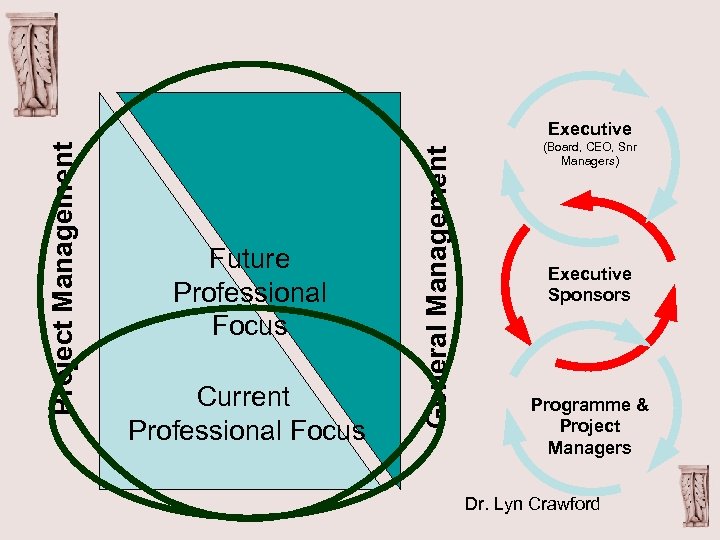 Future Professional Focus Current Professional Focus General Management Project Management Executive (Board, CEO, Snr