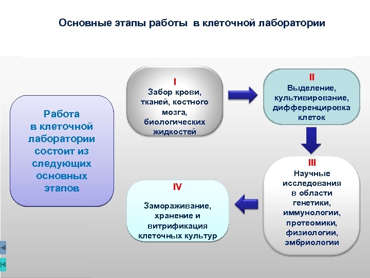 Личный план работы по самосовершенствованию состоит из следующих этапов