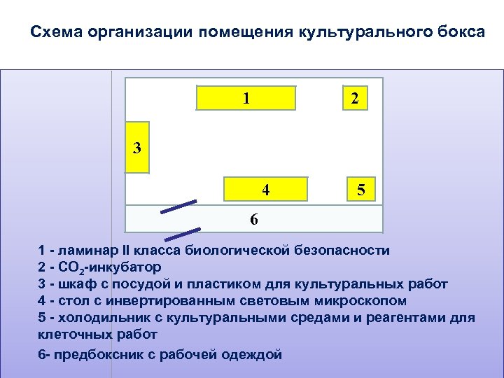 Схема бокса инфекционного отделения