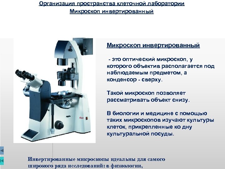 Строение оптической схемы микроскопа прямой или инвертированный