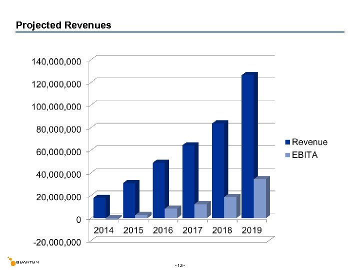 Projected Revenues - 12 - 
