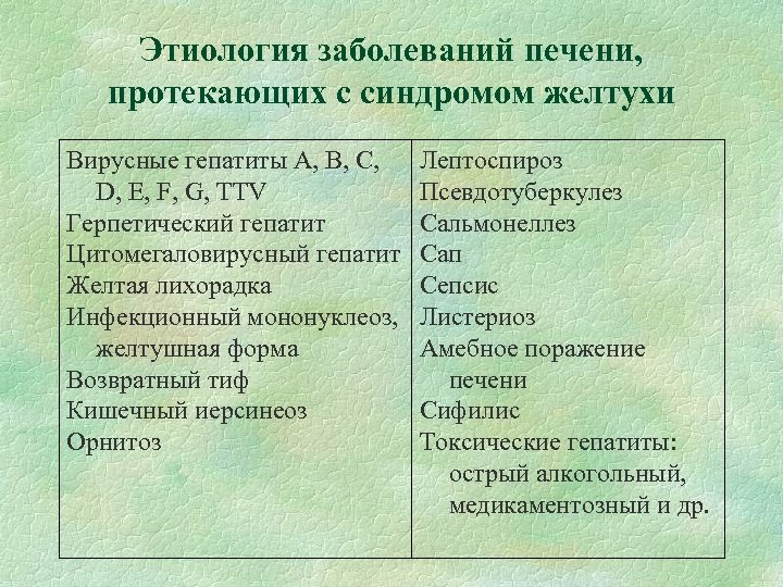 Этиология заболеваний печени, протекающих с синдромом желтухи Вирусные гепатиты А, В, С, D, Е,