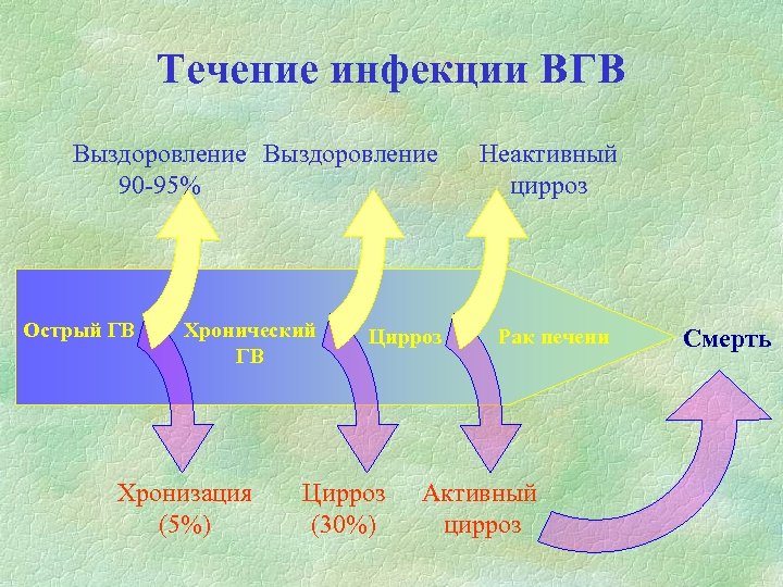 Течение инфекции ВГВ Выздоровление 90 -95% Острый ГВ Хронический ГВ Хронизация (5%) Цирроз (30%)