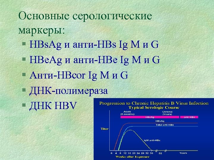 Основные серологические маркеры: § HBs. Ag и анти-HBs Ig M и G § HBe.