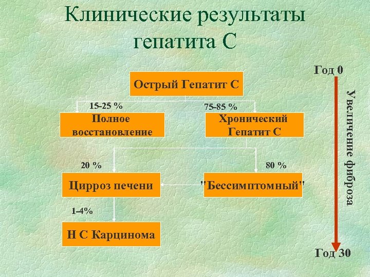 Клинические результаты гепатита C Год 0 15 -25 % Полное восстановление 20 % Цирроз