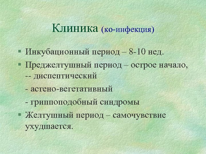 Клиника (ко-инфекция) § Инкубационный период – 8 -10 нед. § Преджелтушный период – острое
