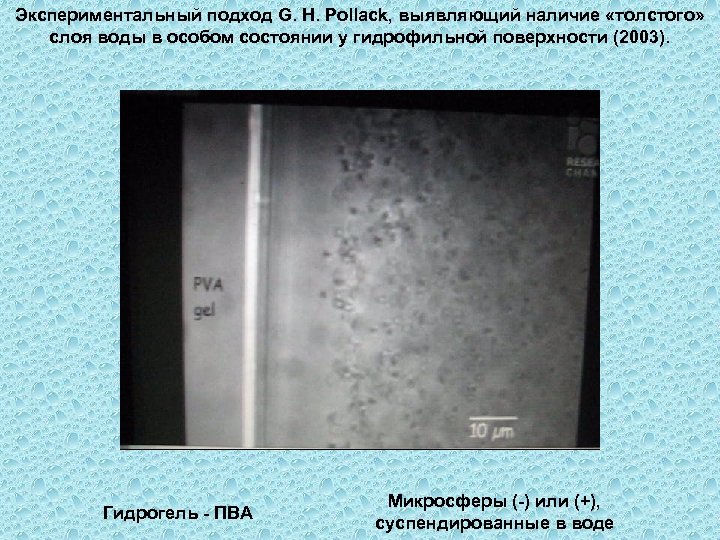 Экспериментальный подход G. H. Pollack, выявляющий наличие «толстого» слоя воды в особом состоянии у