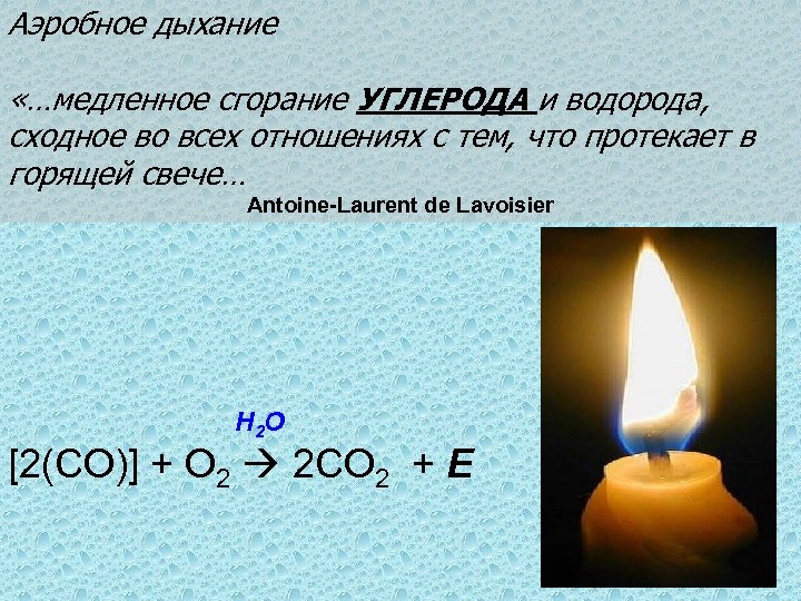 Аэробное дыхание «…медленное сгорание УГЛЕРОДА и водорода, сходное во всех отношениях с тем, что