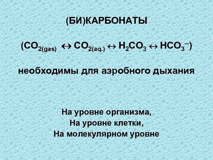(БИ)КАРБОНАТЫ (CO 2(gas) CO 2(aq. ) H 2 CO 3 HCO 3─) необходимы для