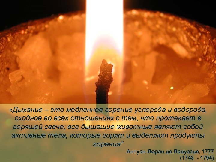  «Дыхание – это медленное горение углерода и водорода, сходное во всех отношениях с