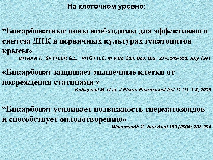 На клеточном уровне: “Бикарбонатные ионы необходимы для эффективного синтеза ДНК в первичных культурах гепатоцитов
