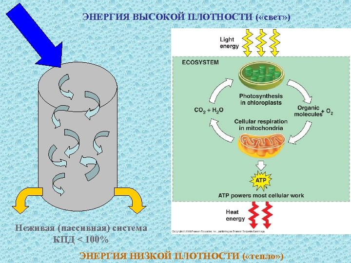 ЭНЕРГИЯ ВЫСОКОЙ ПЛОТНОСТИ ( «свет» ) Неживая (пассивная) система КПД < 100% ЭНЕРГИЯ НИЗКОЙ