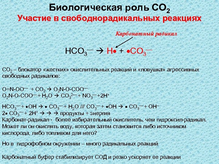 Биологическая роль СО 2 Участие в свободнорадикальных реакциях Карбонатный радикал НСО 3 H +