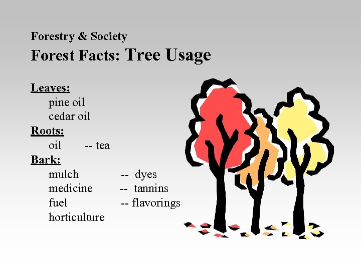 Forestry & Society Forest Facts: Tree Usage Leaves: pine oil cedar oil Roots: oil