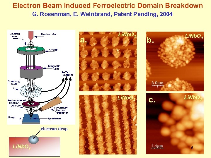 Electron Beam Induced Ferroelectric Domain Breakdown G. Rosenman, E. Weinbrand, Patent Pending, 2004 a.