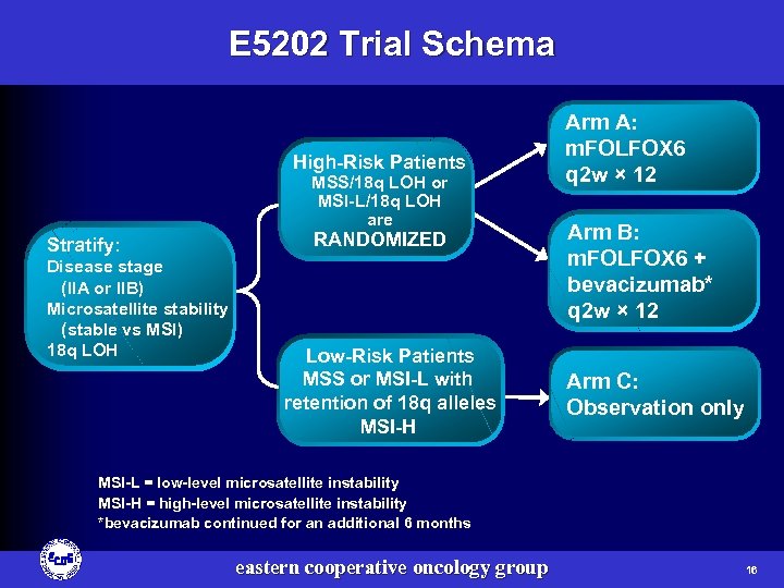 E 5202 Trial Schema High-Risk Patients MSS/18 q LOH or MSI-L/18 q LOH are