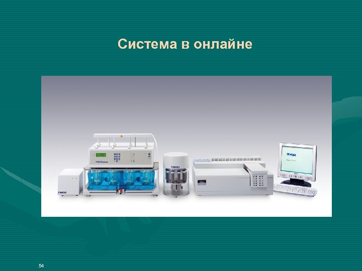 Система в онлайне 54 
