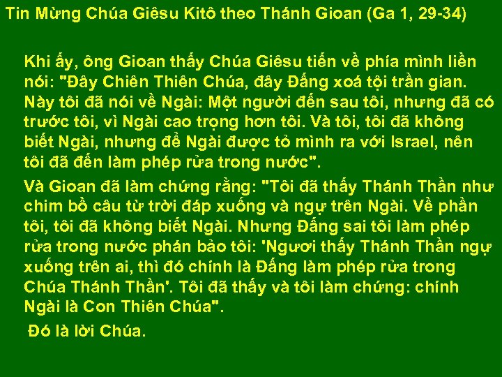 Tin Mừng Chúa Giêsu Kitô theo Thánh Gioan (Ga 1, 29 -34) Khi ấy,