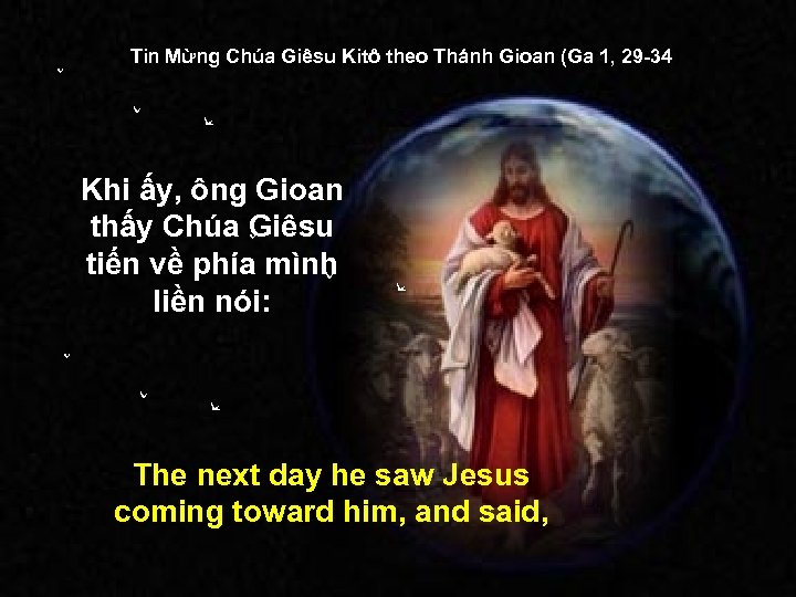 Tin Mừng Chúa Giêsu Kitô theo Thánh Gioan (Ga 1, 29 -34) Khi ấy,