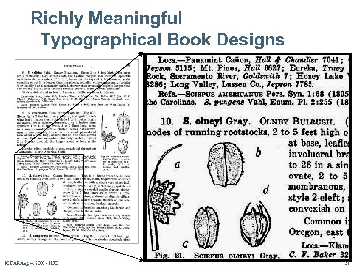 Richly Meaningful Typographical Book Designs Rare Botanical Reference Book • Jepson’s A Flora of