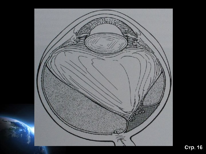 Стр. 16 