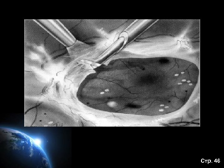 Стр. 46 