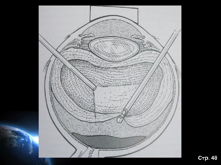 Стр. 48 