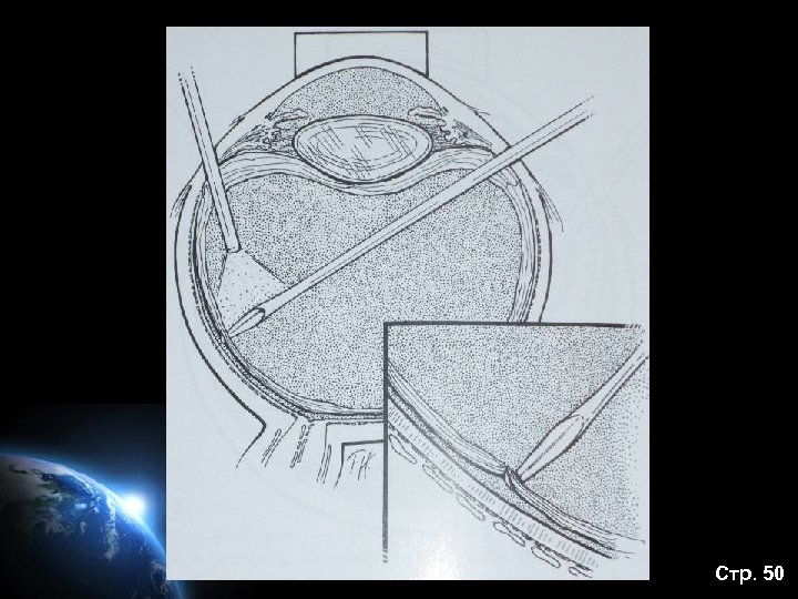 Стр. 50 