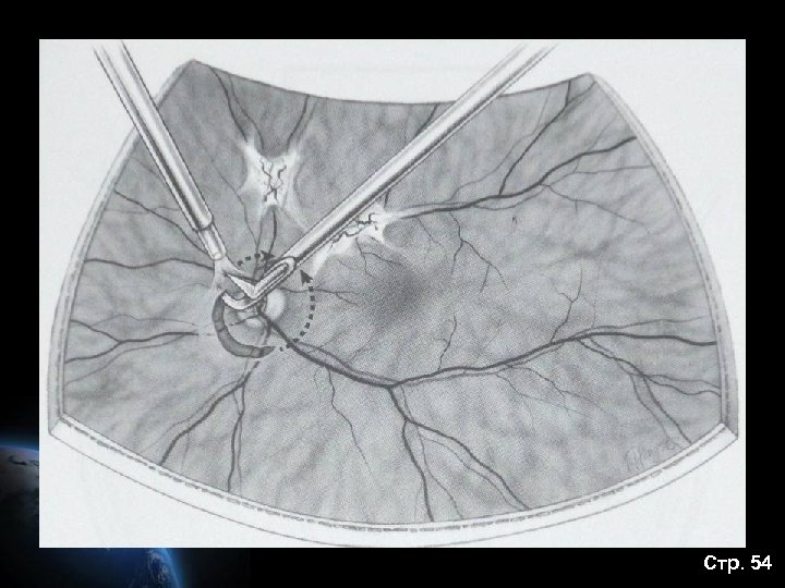 Стр. 54 