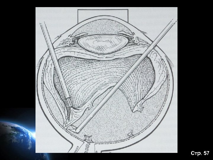 Стр. 57 