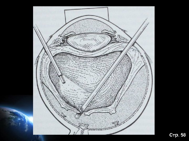 Стр. 58 