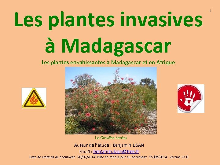 Les plantes invasives à Madagascar Les plantes envahissantes à Madagascar et en Afrique Le