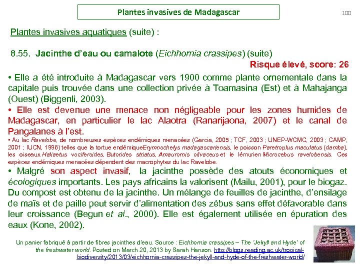 Plantes invasives de Madagascar 100 Plantes invasives aquatiques (suite) : 8. 55. Jacinthe d’eau