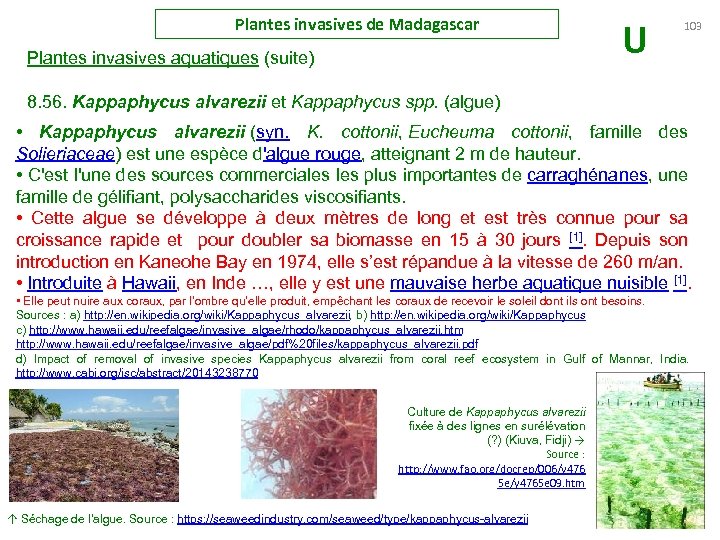 Plantes invasives de Madagascar Plantes invasives aquatiques (suite) U 103 8. 56. Kappaphycus alvarezii